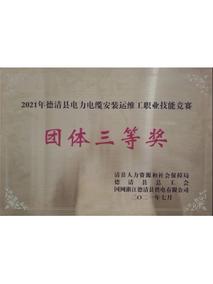 2021年德清縣電力電纜安裝運(yùn)維工職業(yè)技能競(jìng)賽團(tuán)體三等獎(jiǎng)